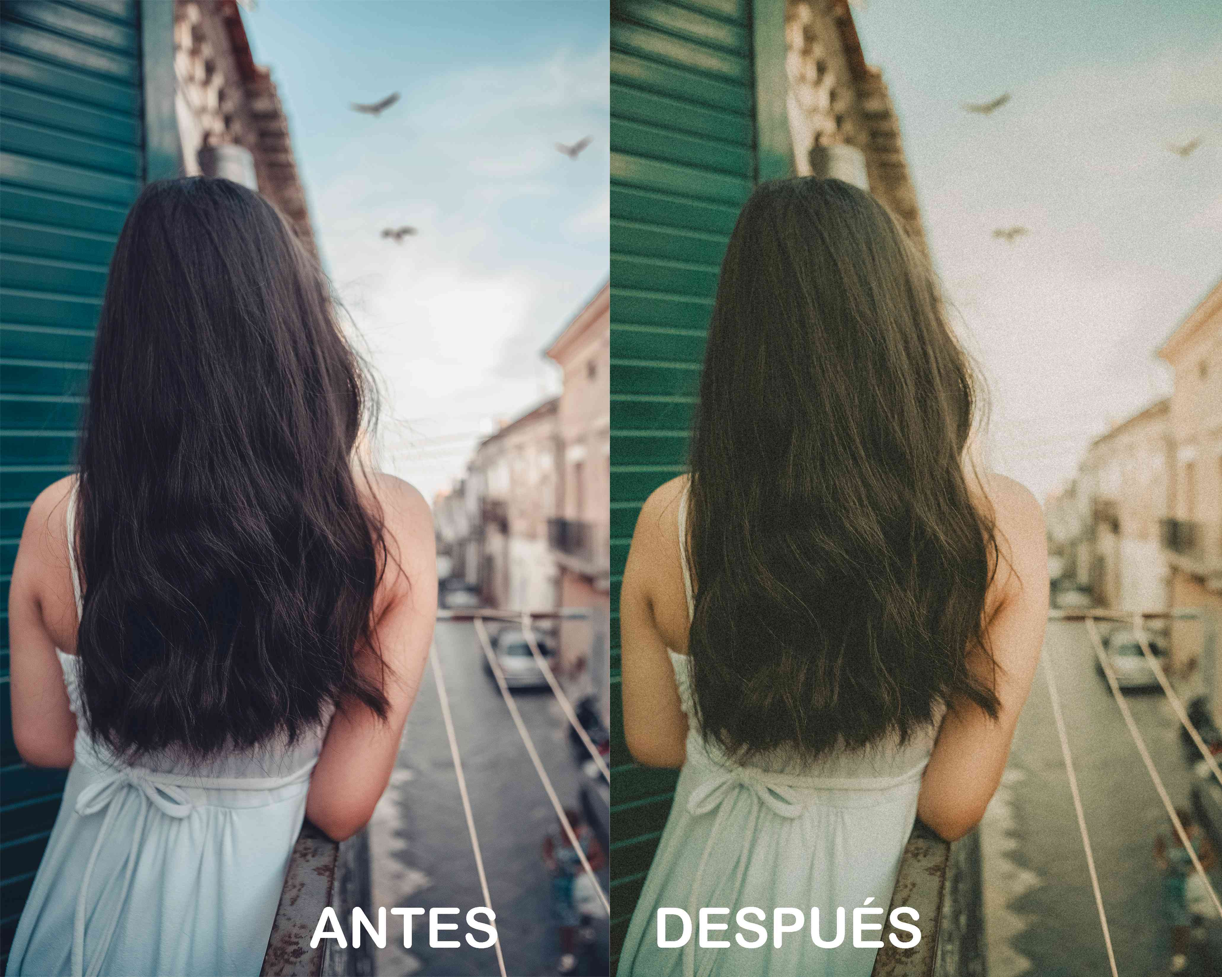 Cámara Kodak – Preset Gratis