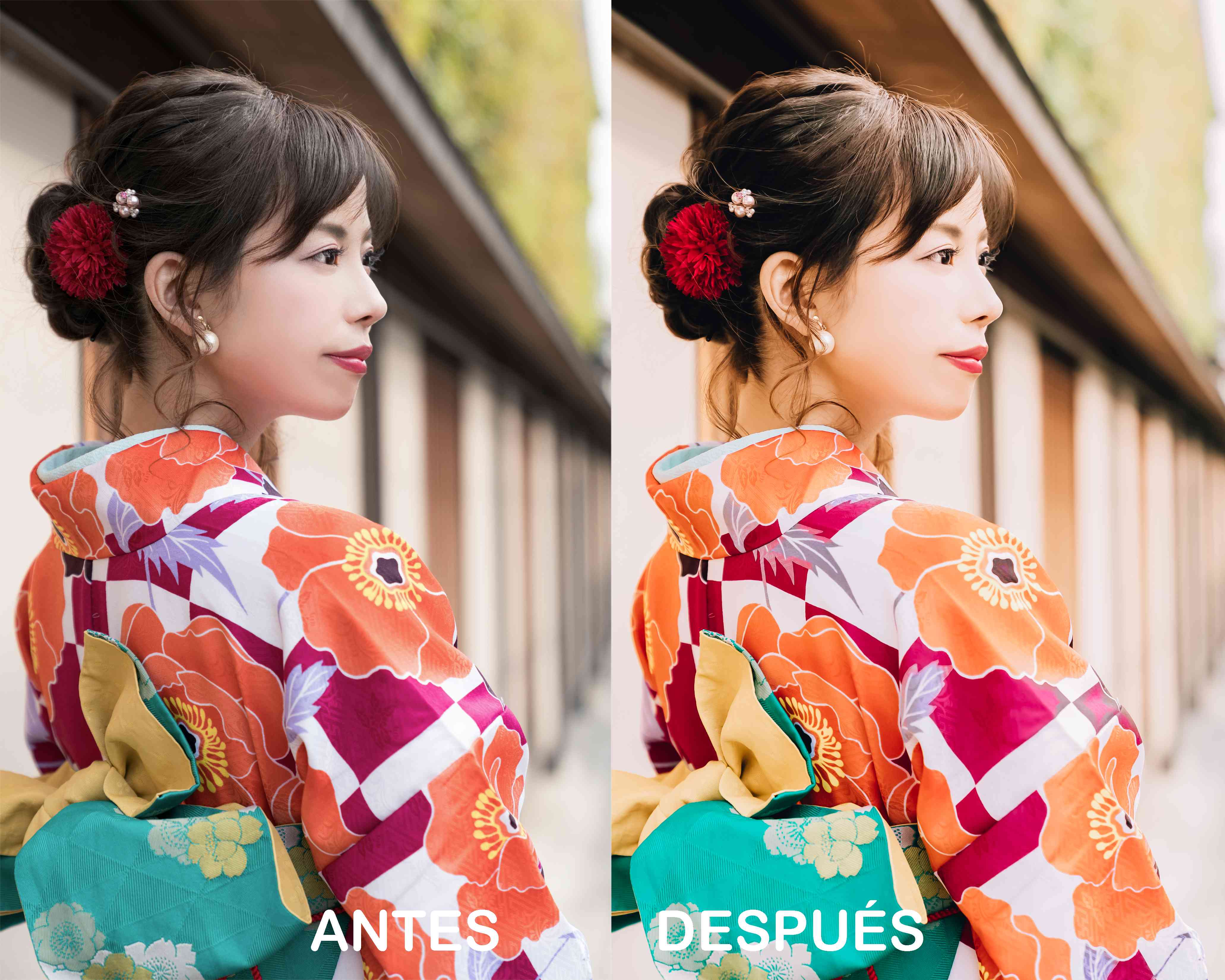 Estilo Tokio – Preset Gratis