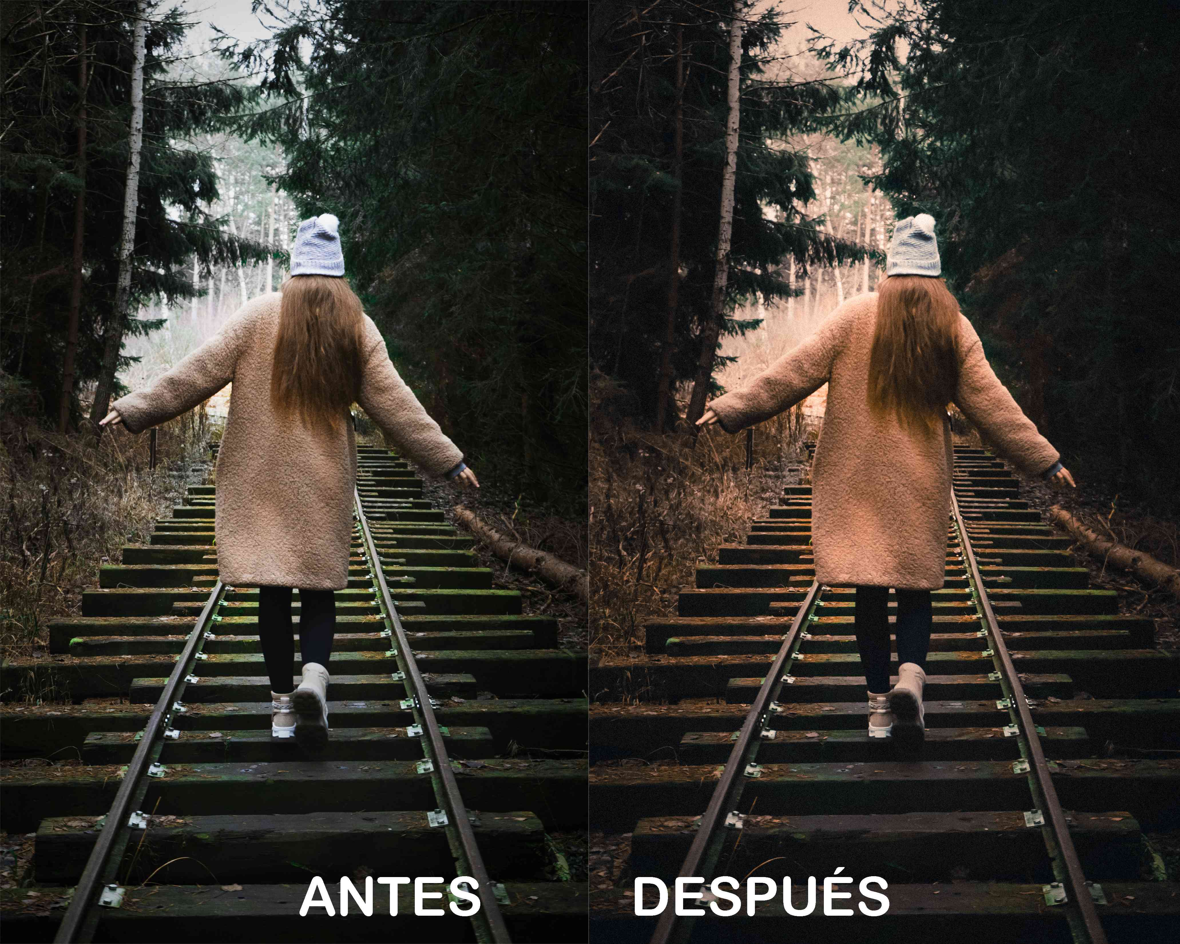 Fotograma – Preset Gratis