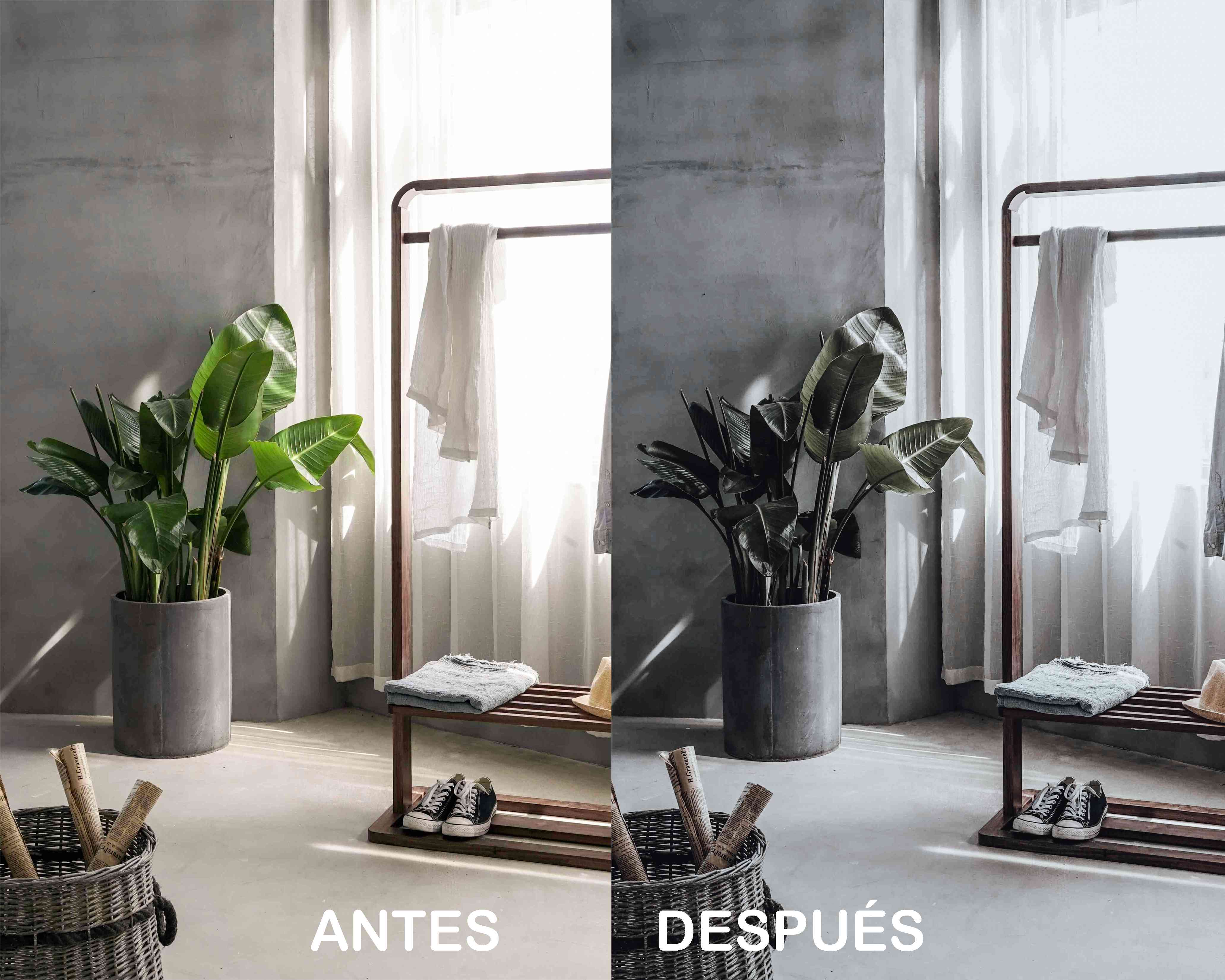 Limpio y Blanco – Preset Gratis