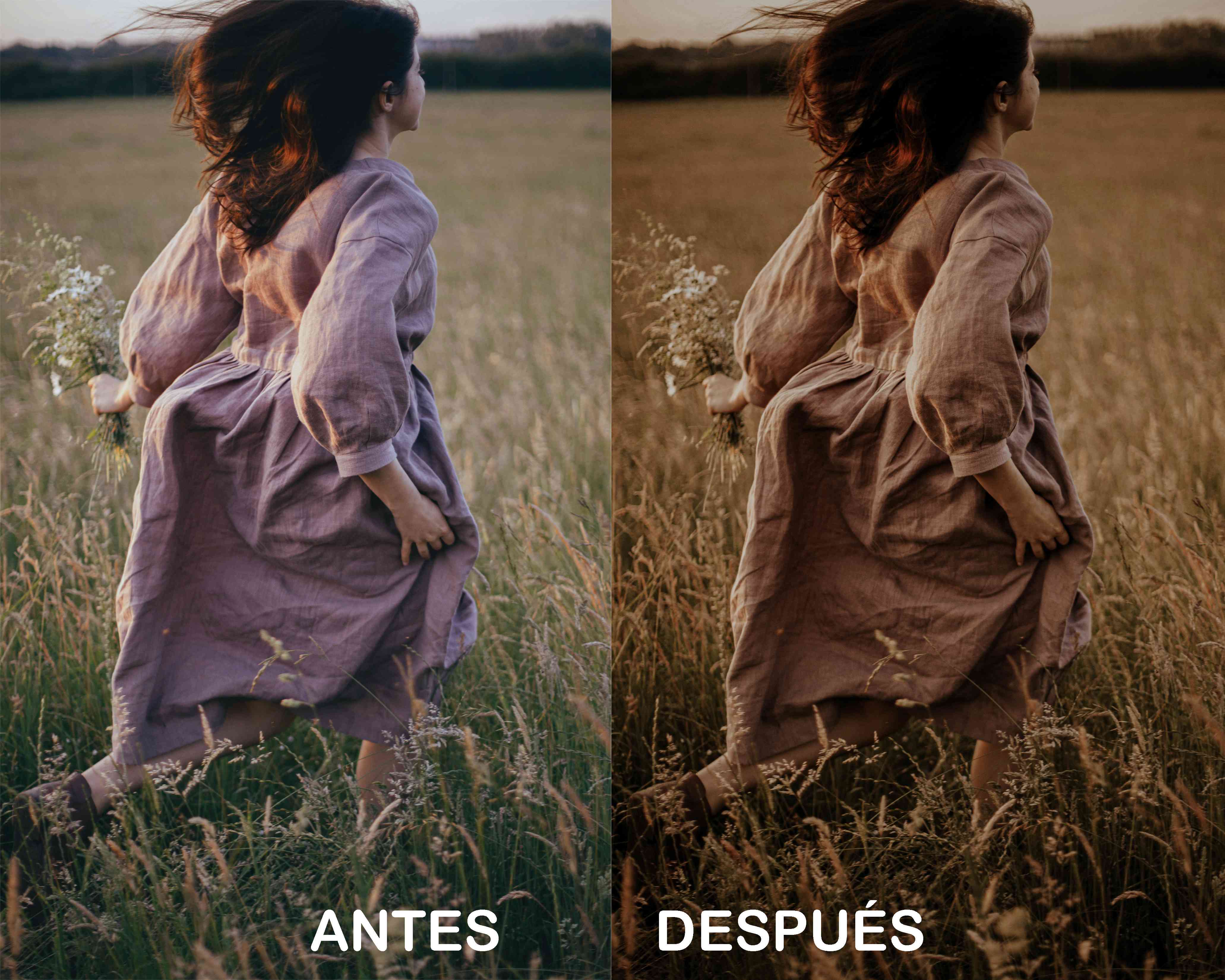 Marrón Melancólico – Preset Gratis