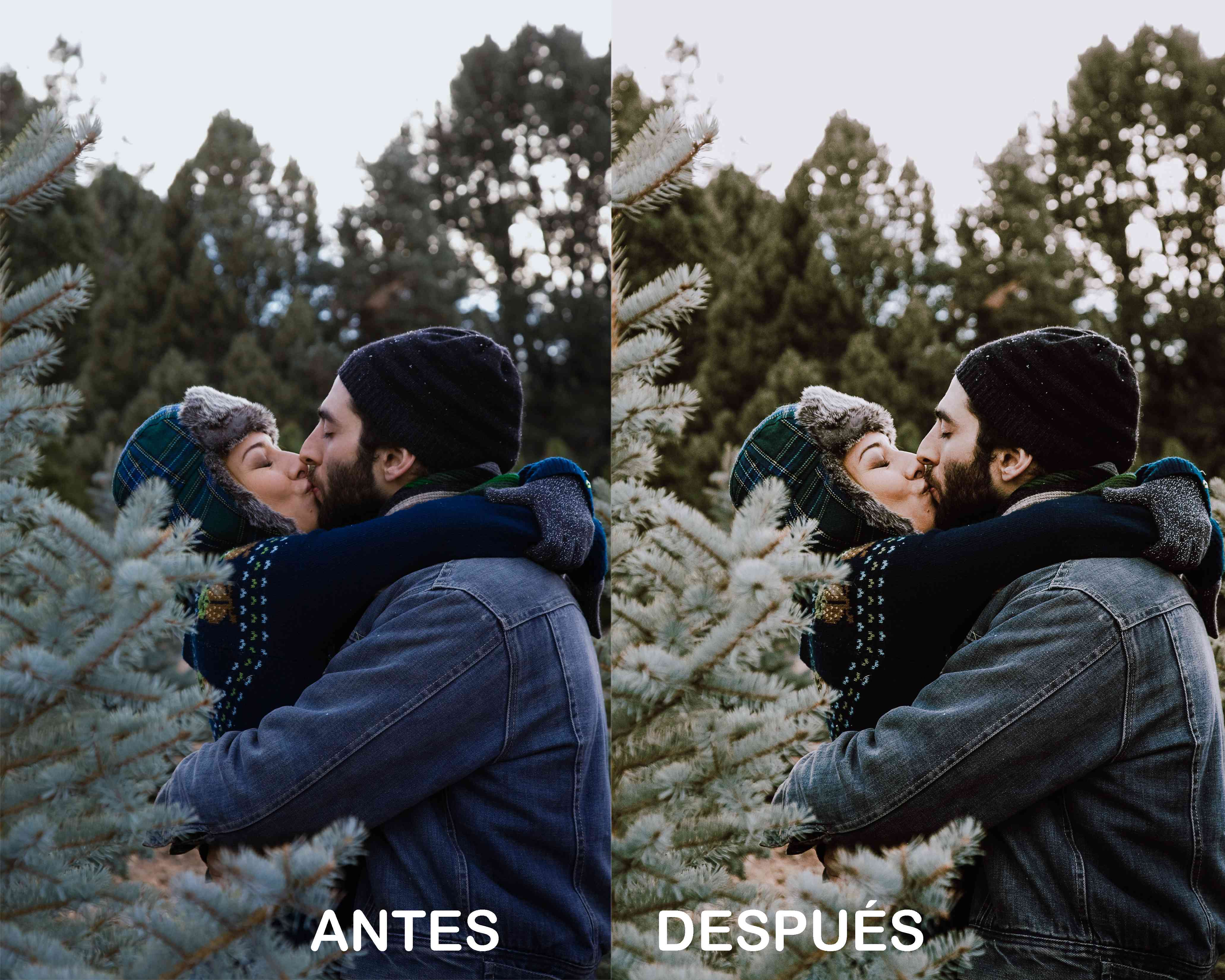 Muérdago Festivo – Preset Gratis