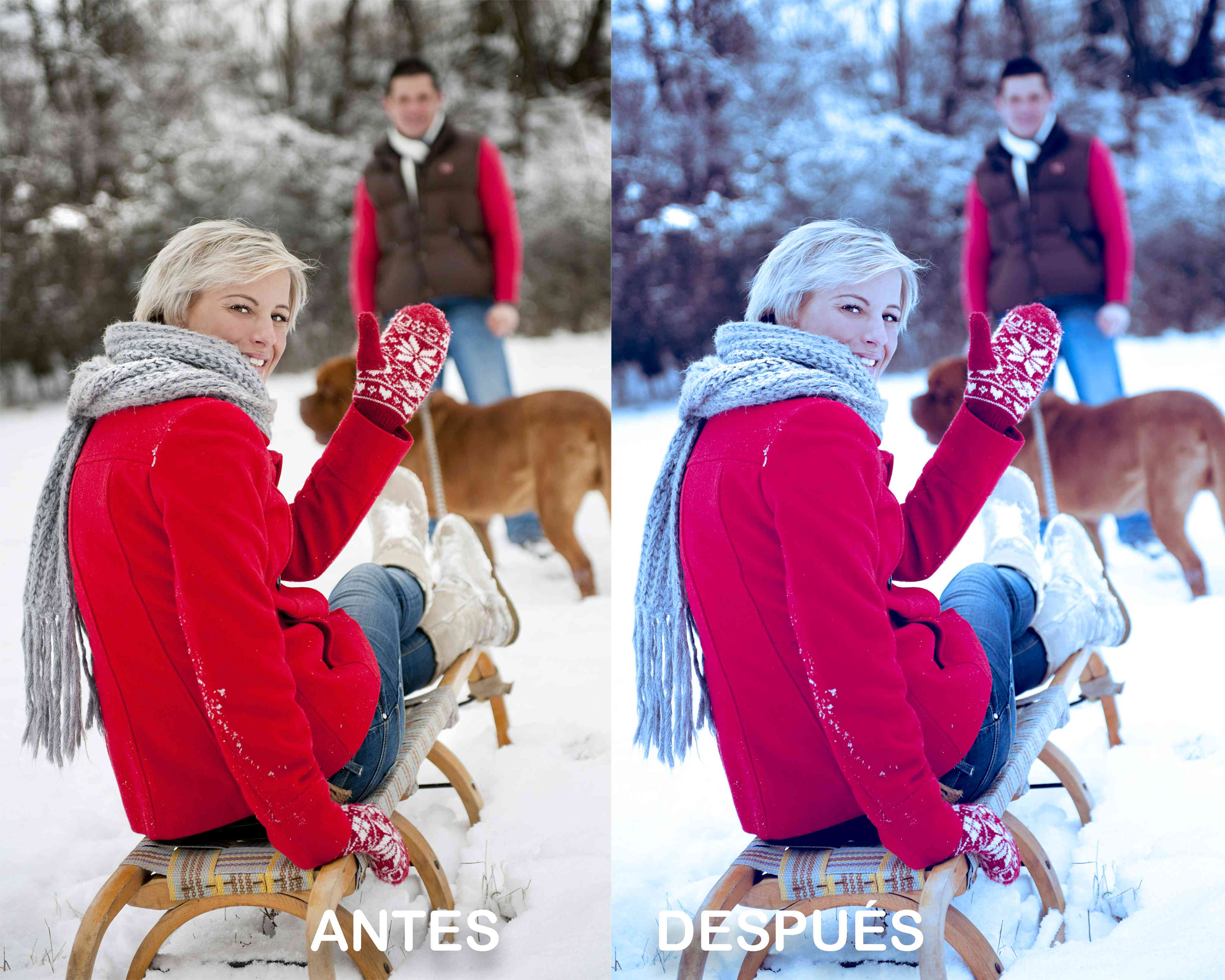 Navidad Blanca – Preset Gratis
