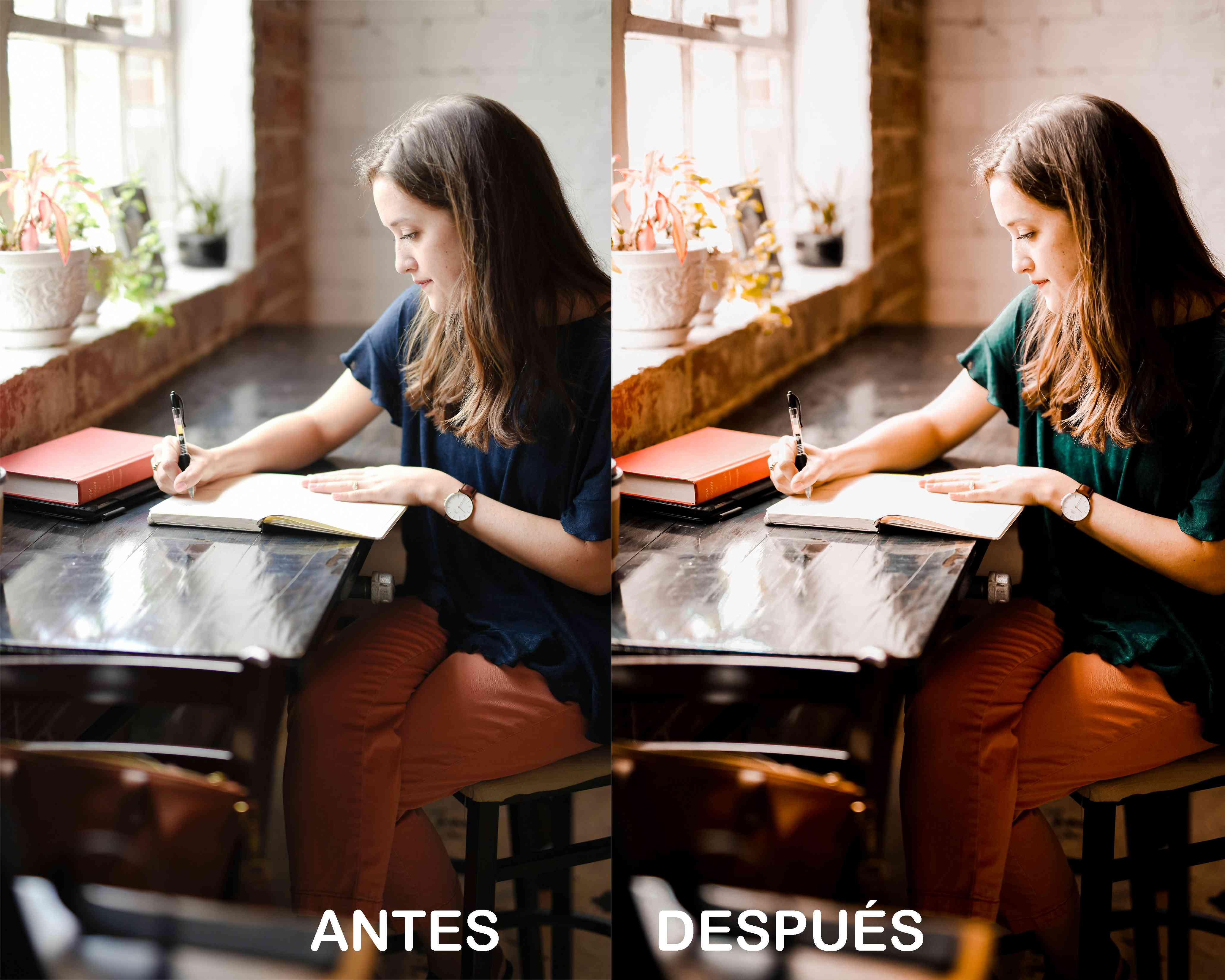 Niebla Matutina – Preset Gratis