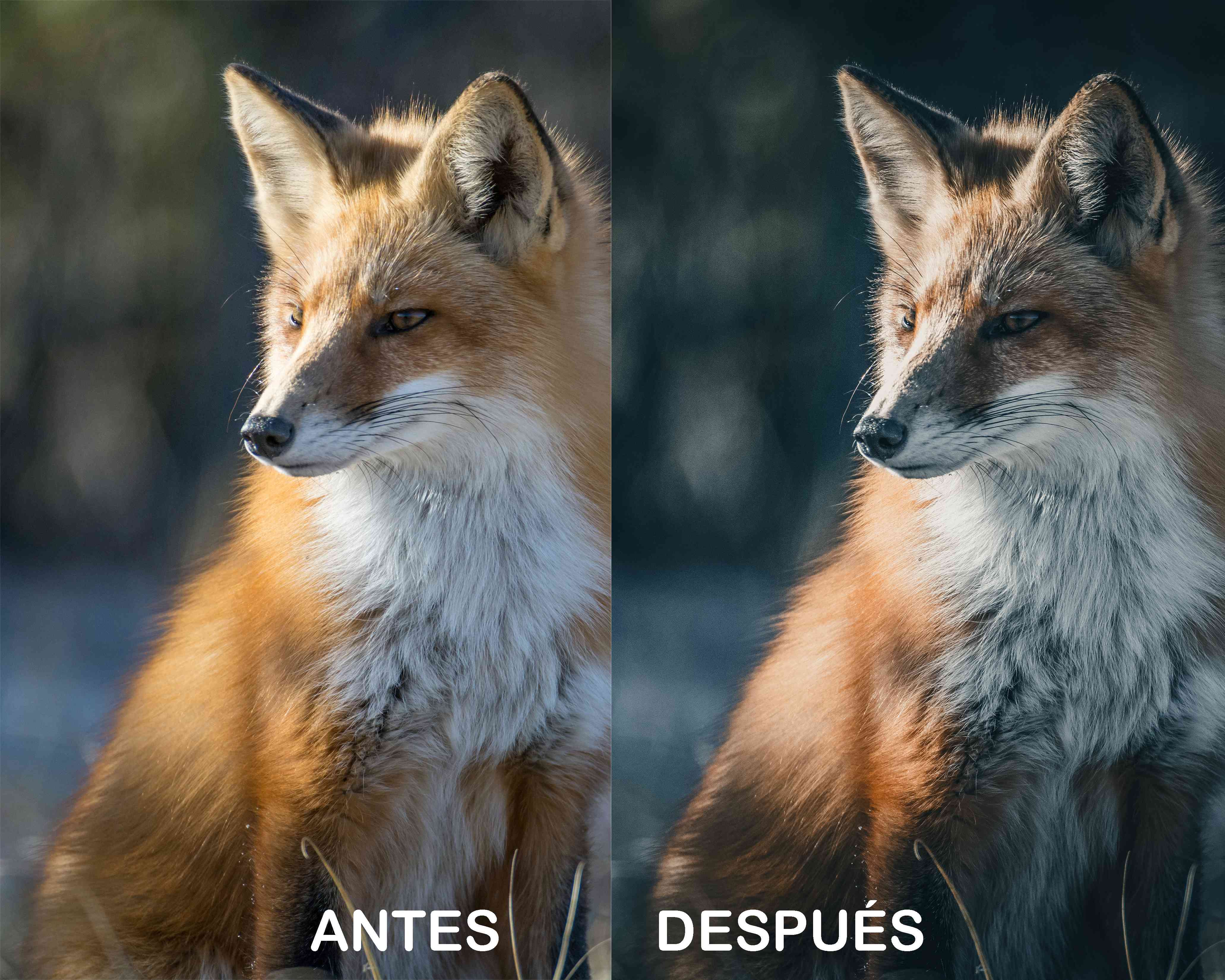 Profundamente Melancólico – Preset Gratis