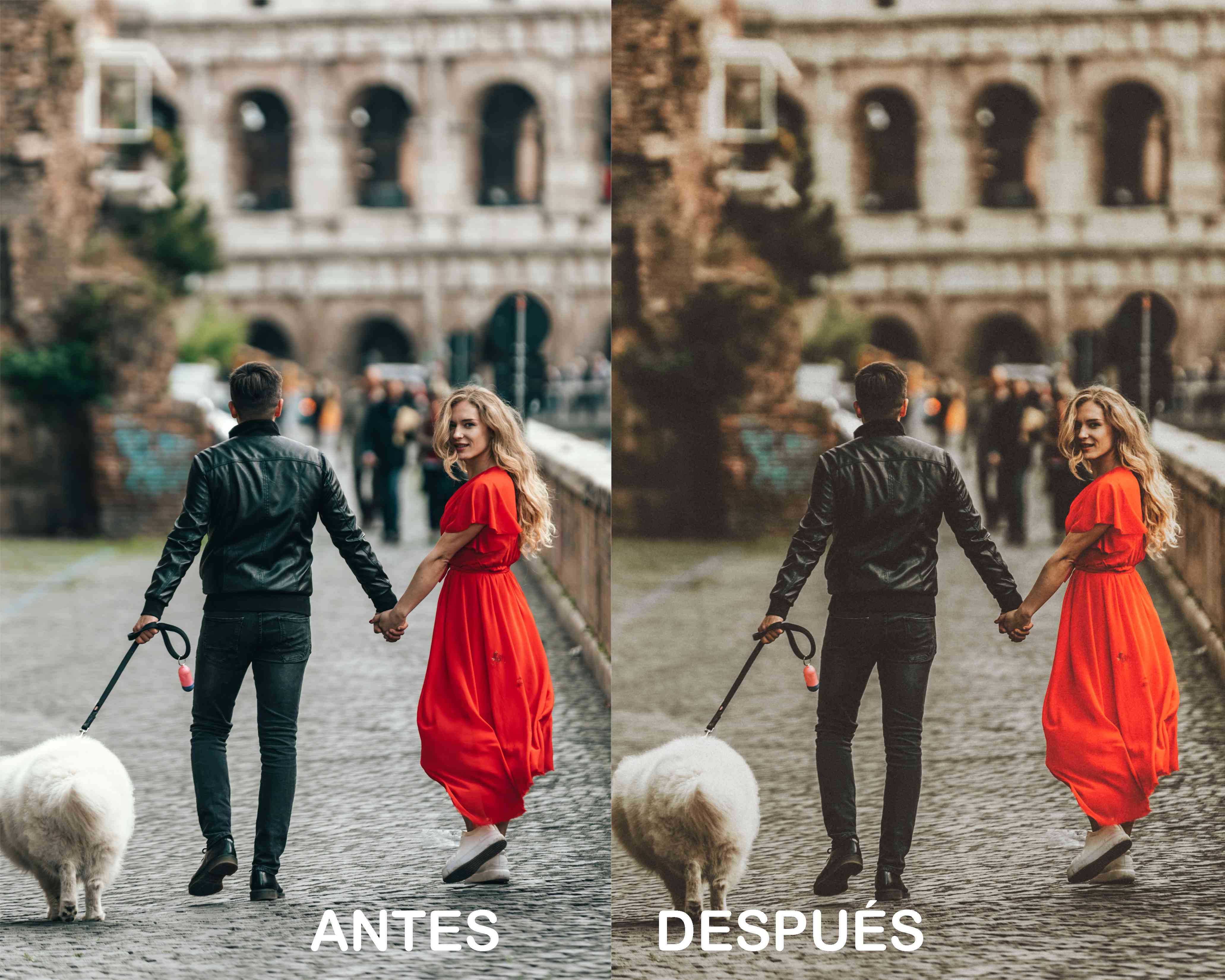 Roma – Preset Gratis
