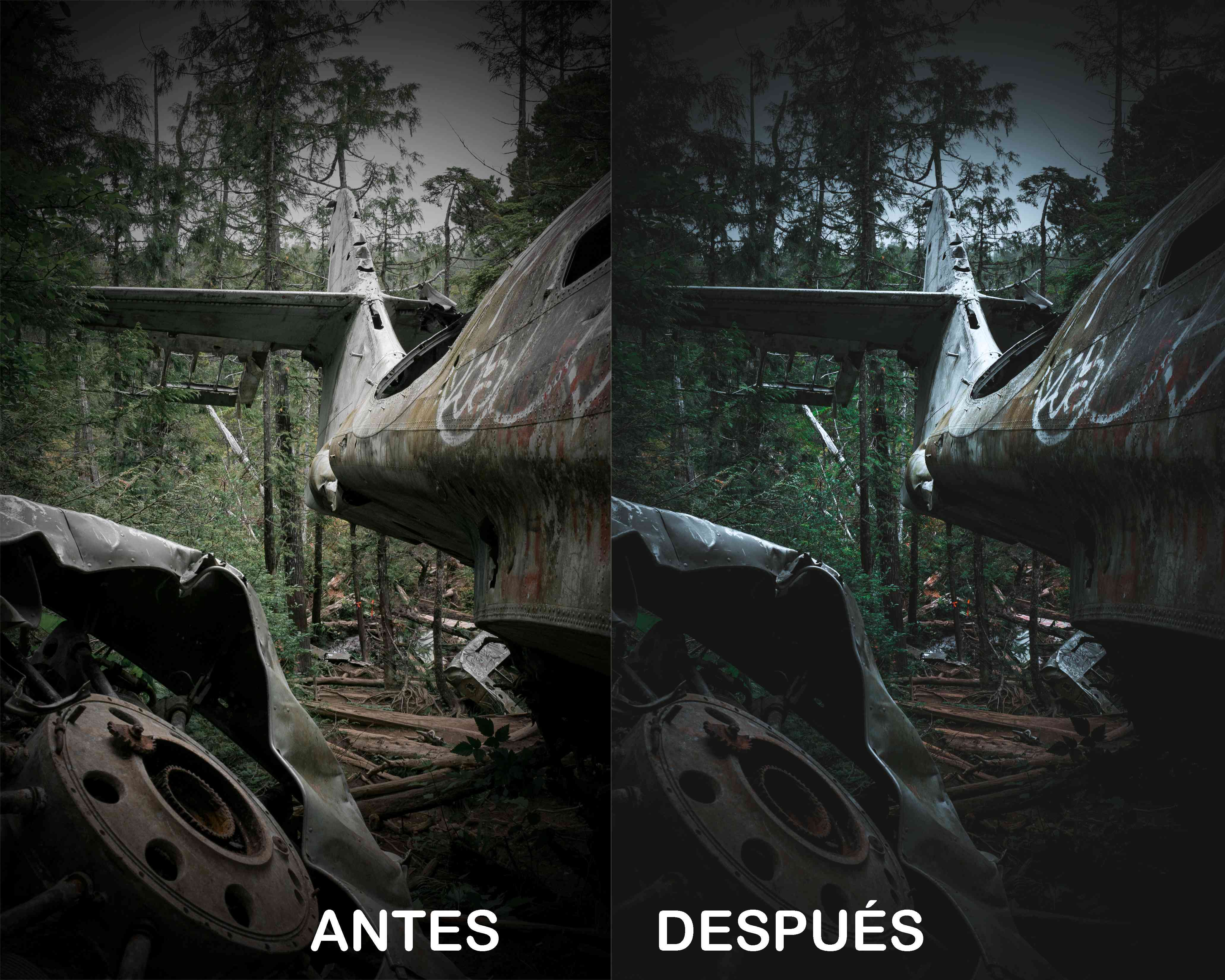 Verde Cinematográfico – Preset Gratis